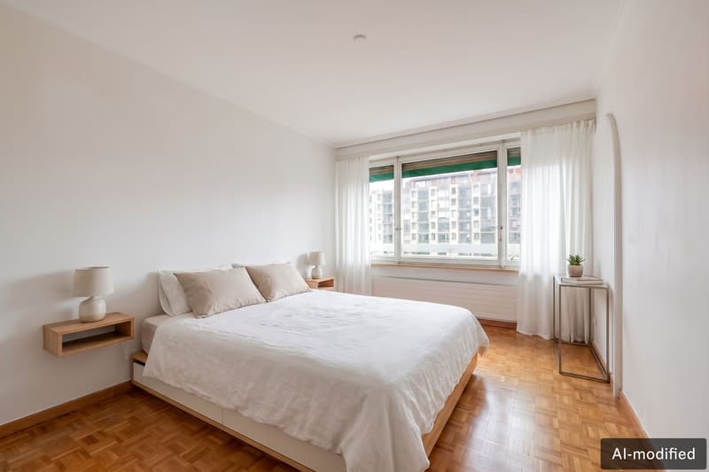 Appartement lumineux avec vue sur le Salève au coeur de Champel (6)