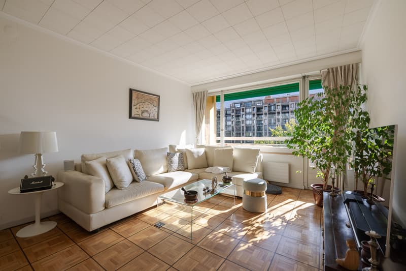 Appartement lumineux avec vue sur le Salève au coeur de Champel (2)