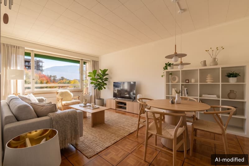 Appartement lumineux avec vue sur le Salève au coeur de Champel (1)