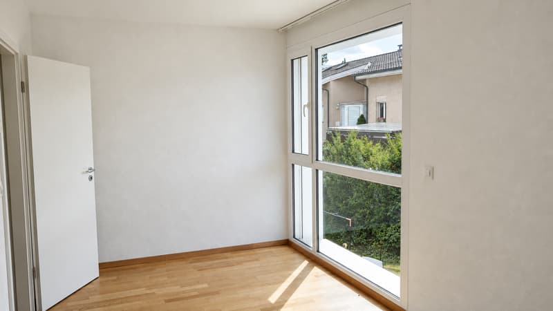Villa cosy à Pregny-Chambésy (6)