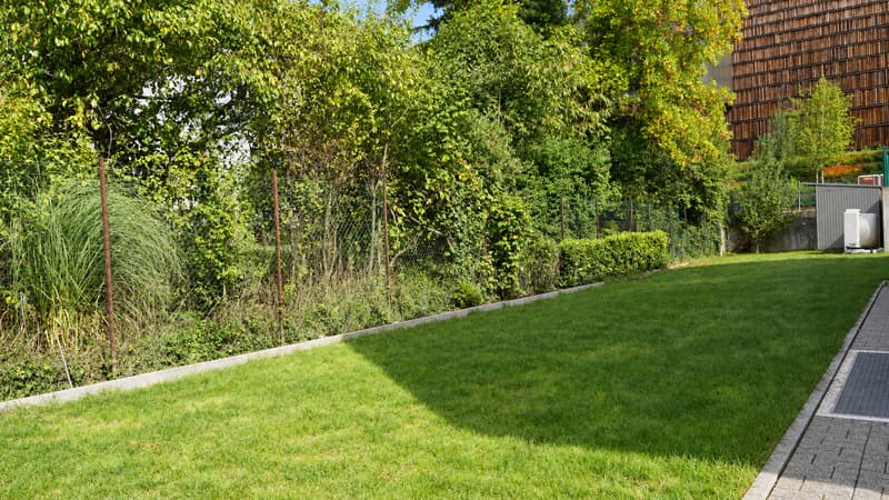 Villa cosy à Pregny-Chambésy (2)
