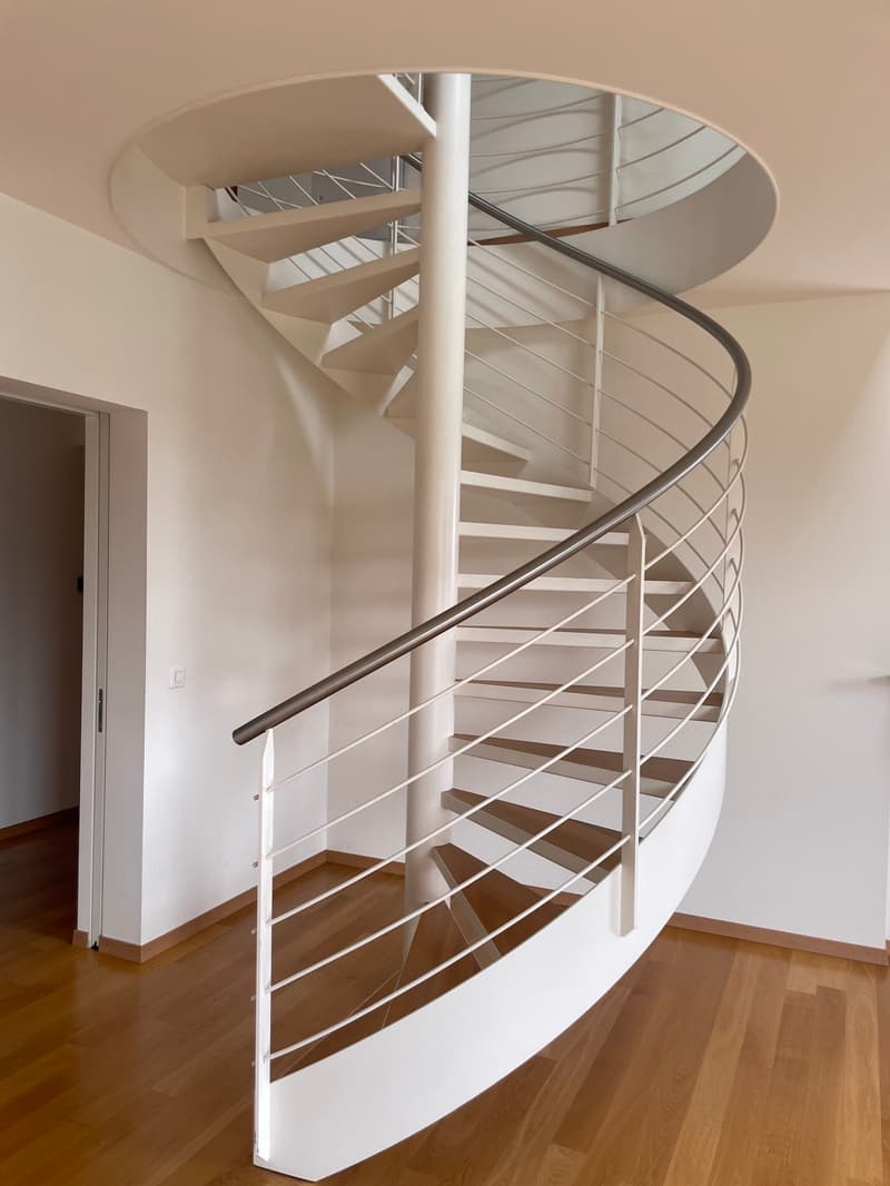 Somptueux attique en duplex (7)