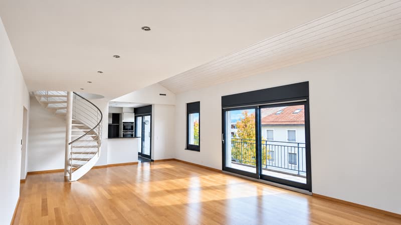 Somptueux attique en duplex (4)