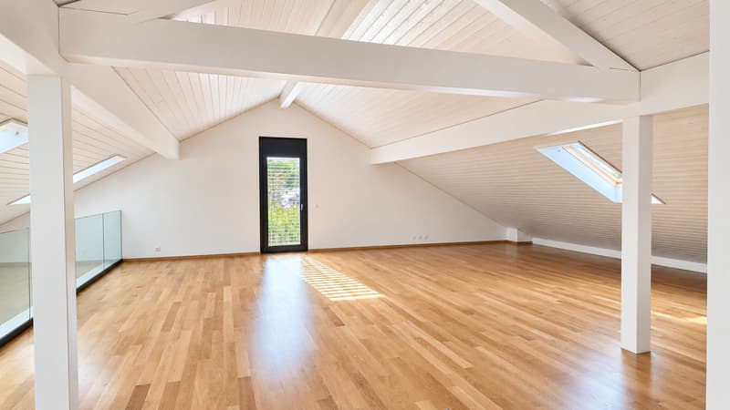 Somptueux attique en duplex (5)