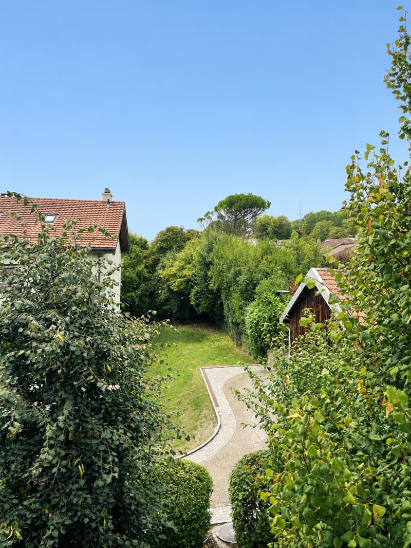 Somptueux attique en duplex (8)