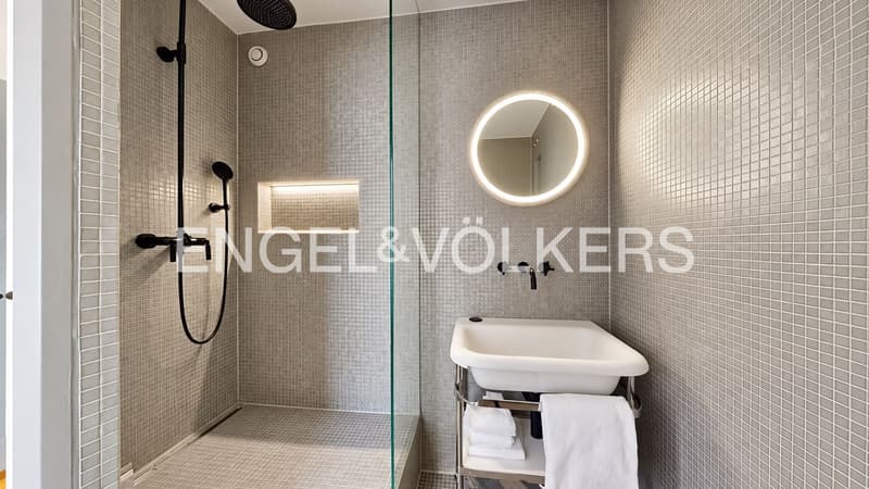 Lumière & Design - Appartement de caractère aux Eaux-Vives (8)