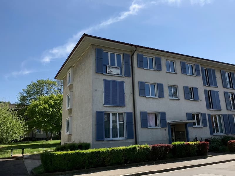 Baselmatt170_6.jpg