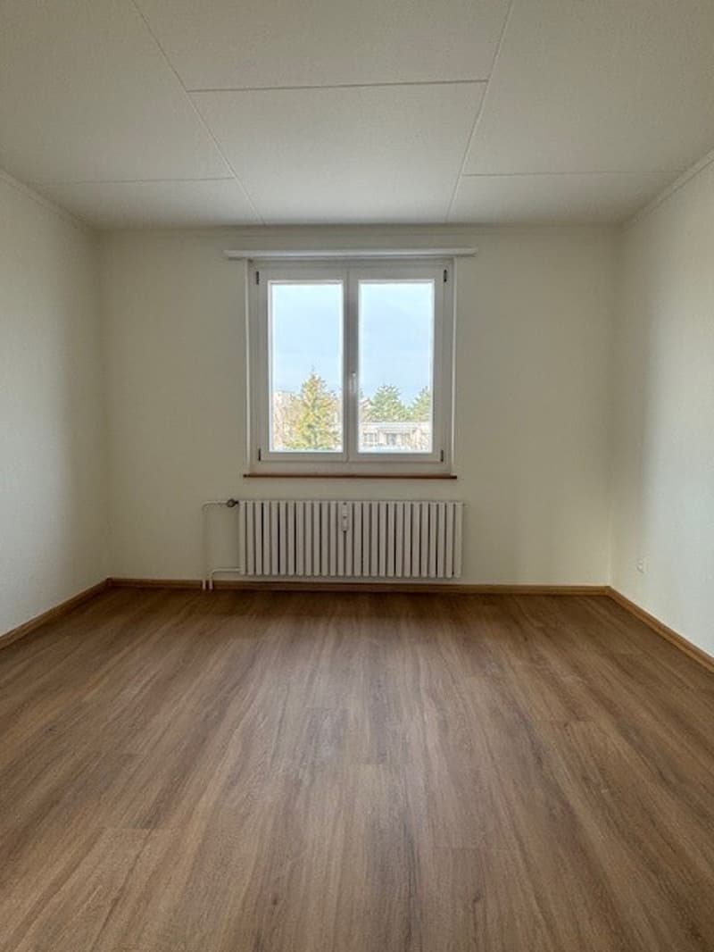Schlafz2.jpg