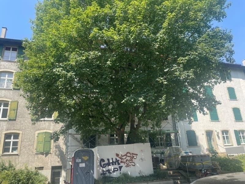 Liegenschaft_Lehenmattstrasse_210.jpg