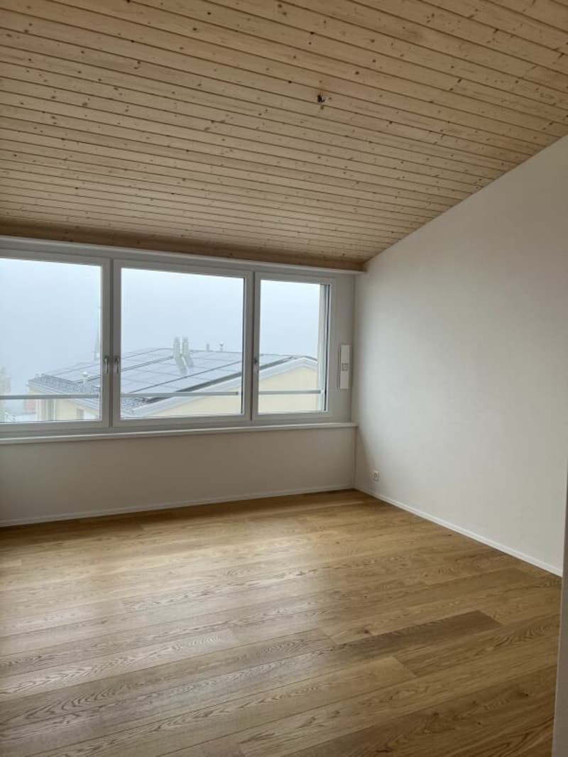 Luxusdachwohnung mit traumhafter Aussicht (17)