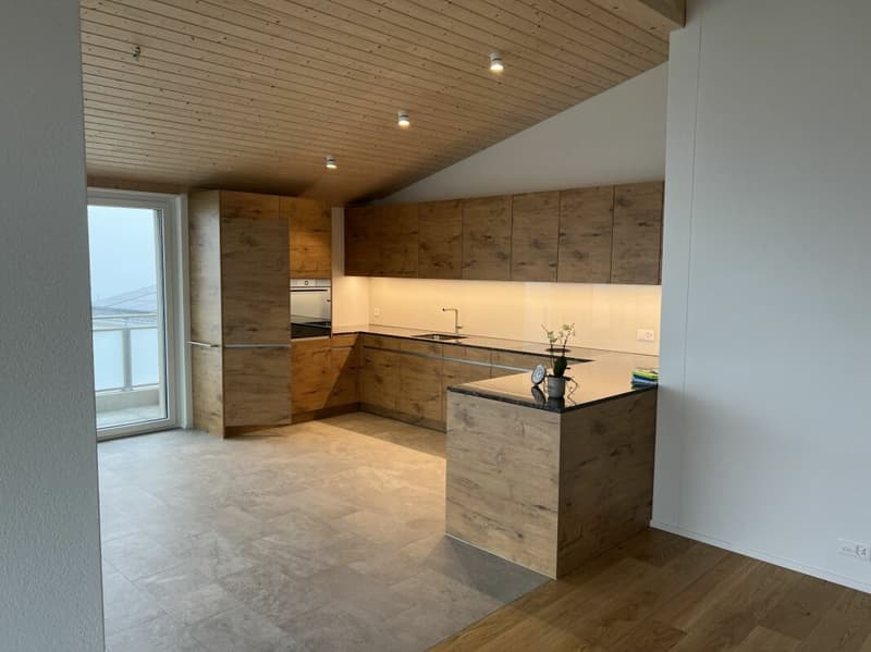 Luxusdachwohnung mit traumhafter Aussicht (7)