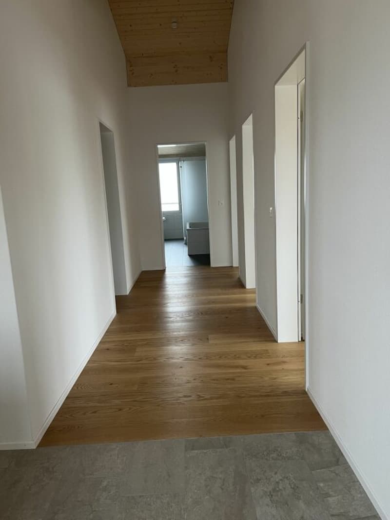 Luxusdachwohnung mit traumhafter Aussicht (28)