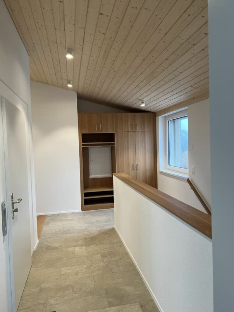 Luxusdachwohnung mit traumhafter Aussicht (9)