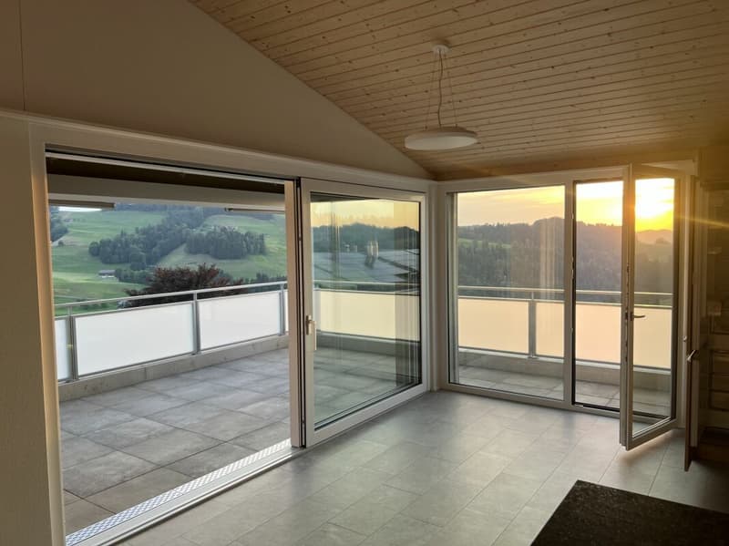 Luxusdachwohnung mit traumhafter Aussicht (2)