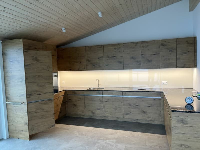 Luxusdachwohnung mit traumhafter Aussicht (6)