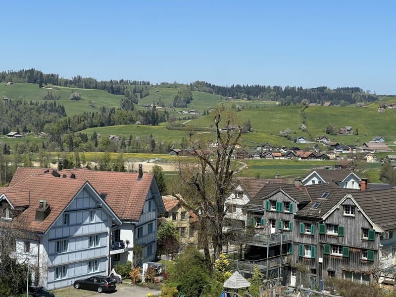 Weitblick Sonnmatt: Wg. A 4.1- mit Homeoffice! (38)