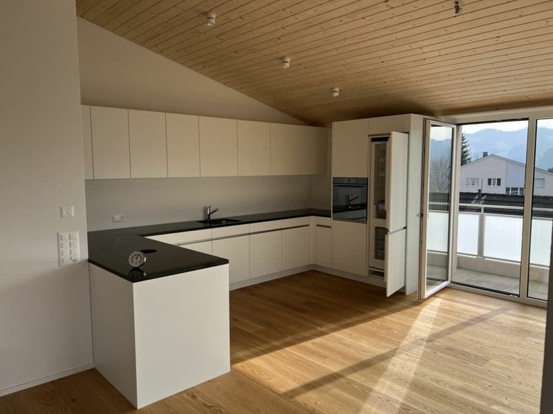Moderne Dachwohnung mit Weitsicht C4.1 (18)