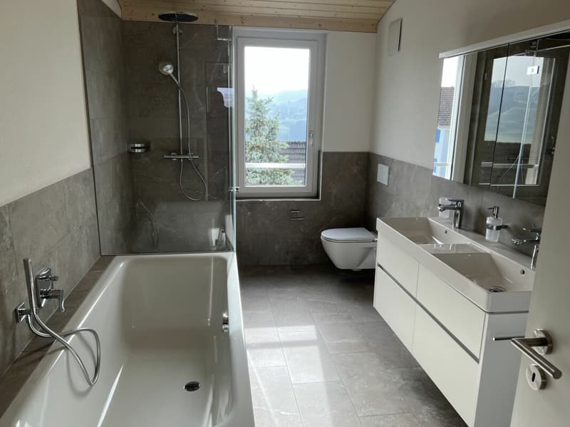 Moderne Dachwohnung mit Weitsicht C4.1 (19)