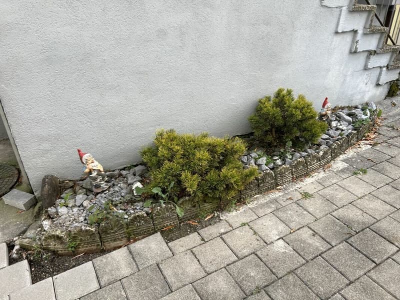 Zweifamilienhaus im steuergünstigen Horn (12)