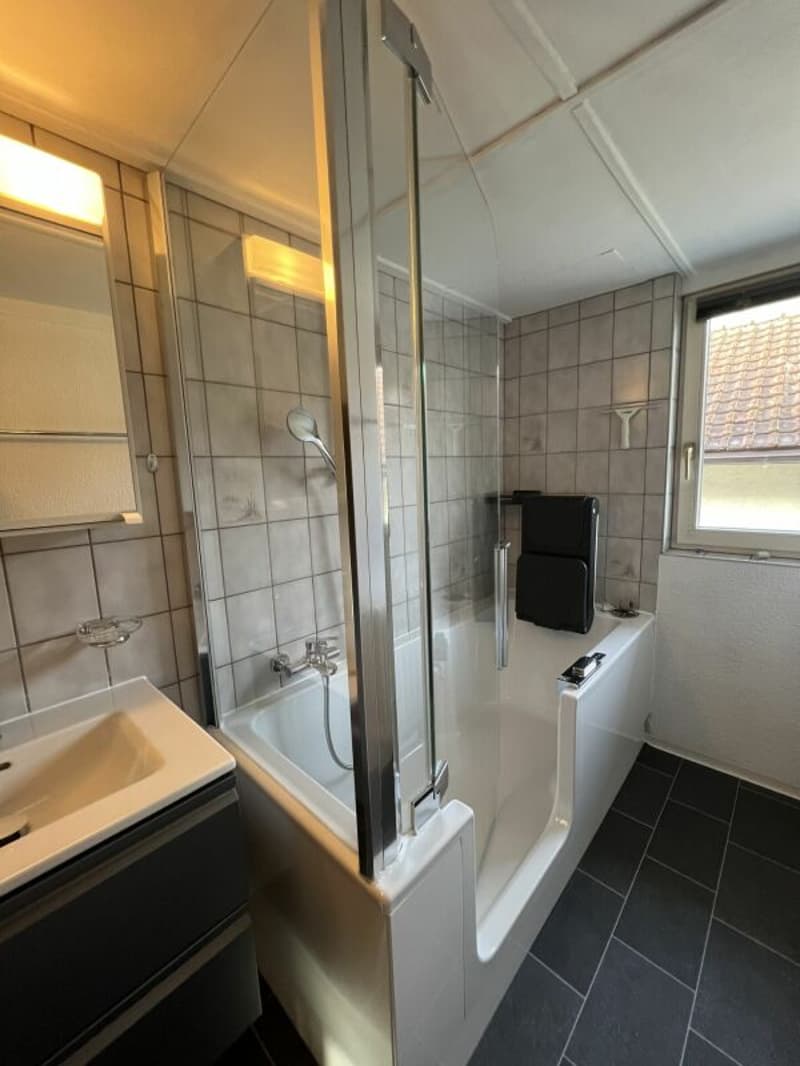 Zweifamilienhaus im steuergünstigen Horn (8)