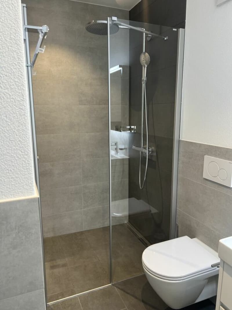 Grosszügige Maisonette für Wohnen und Arbeiten - A3.2 (11)