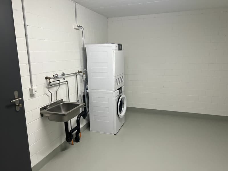 Grosszügige Maisonette für Wohnen und Arbeiten - A3.2 (15)