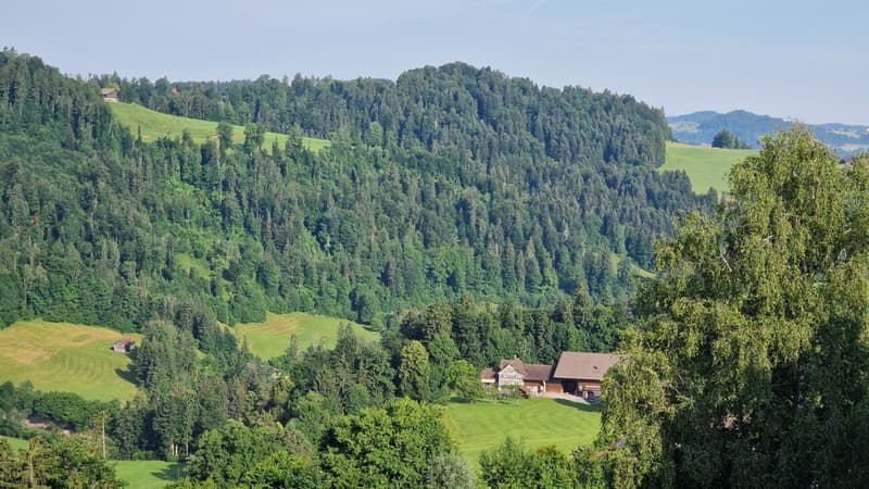 Gesund wohnen mit Weitsicht - 4½-Zimmer-Dachwohnung C4.1 (22)
