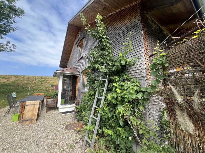 Freiheit braucht Raum - Naturrefugium Rotenfluh 952 (15)