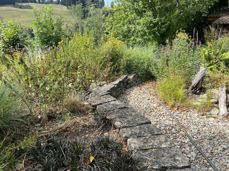 Freiheit braucht Raum - Naturrefugium Rotenfluh 952 (10)