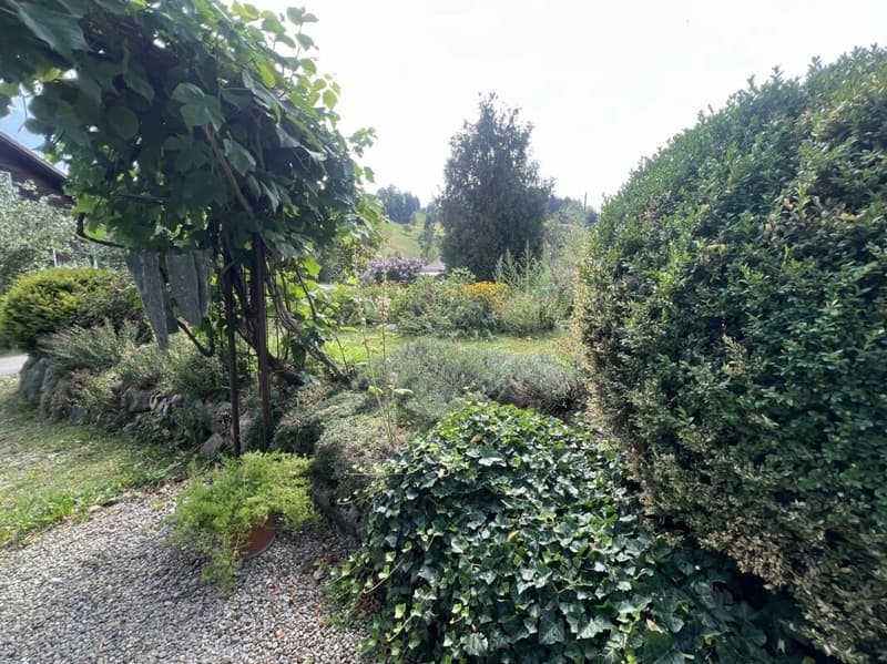 Freiheit braucht Raum - Naturrefugium Rotenfluh 952 (5)