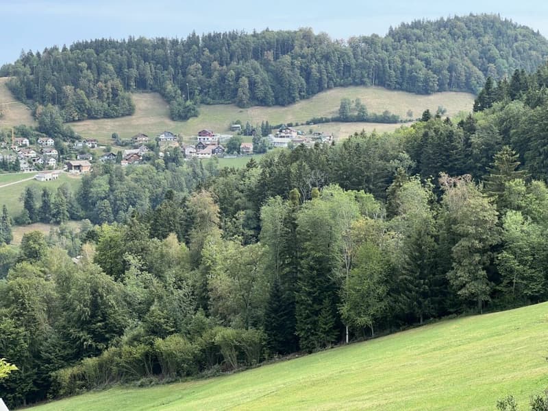 Freiheit braucht Raum - Naturrefugium Rotenfluh 952 (26)