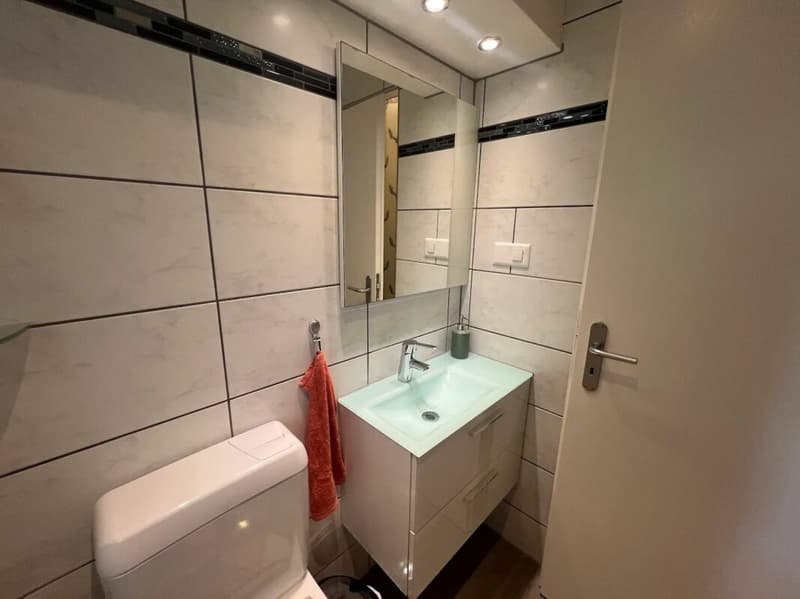 Reserviert! Chalet mit Aussicht - naturnah wohnen in Mogelsberg (19)