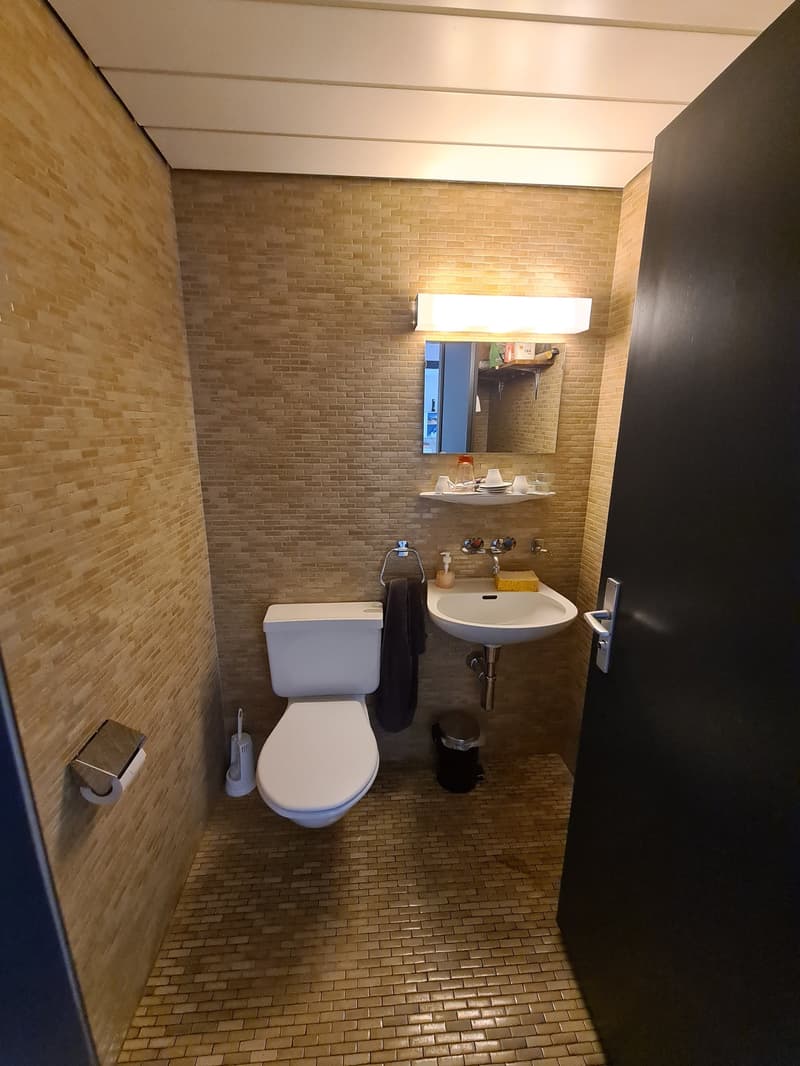 Bathroom with brick walls, white toilet, sink, and mirror. The room has a warm, cozy lighting.