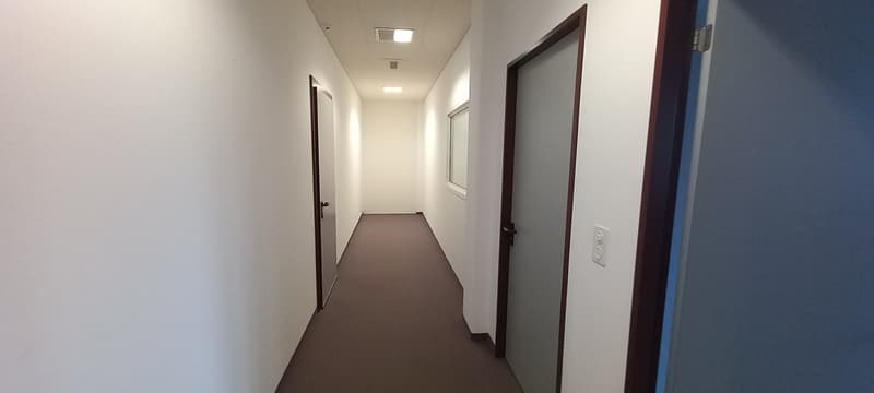 The image shows a long, narrow hallway with white walls and a brown carpeted floor. The hallway has several doors on either side, suggesting it leads to different rooms or apartments. The lighting in the hallway appears to be provided by recessed ceiling