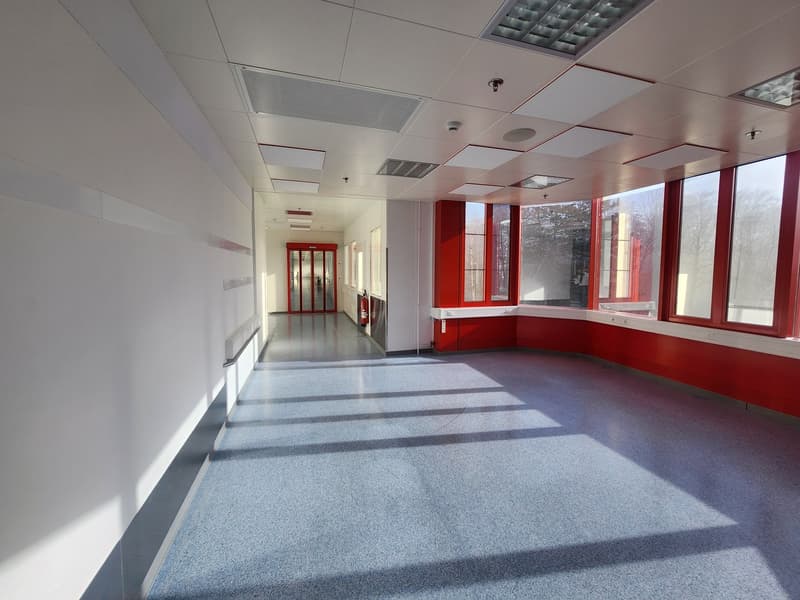 Empty room, white and red walls, blue floors, windows, sliding doors, surveillance cameras
