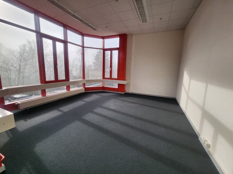 large windows, empty room, gray carpet, white walls, electrical outlet