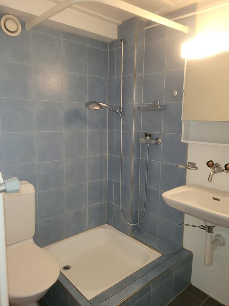 Tiled bathroom with a shower, toilet, and sink. The bathroom has a private washing machine installed.