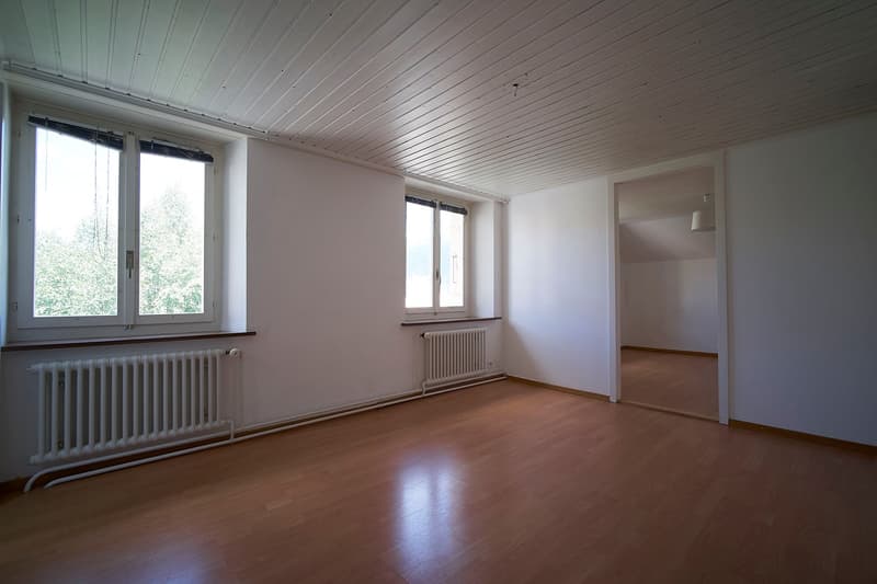 Charmant et très lumineux appartement de 3 chambres avec cuisine et salle de bain séparées (2)