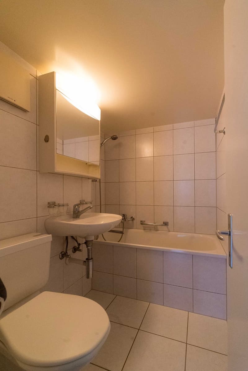 Charmant et très lumineux appartement de 3 chambres avec hall/cuisine et salle de bain (5)