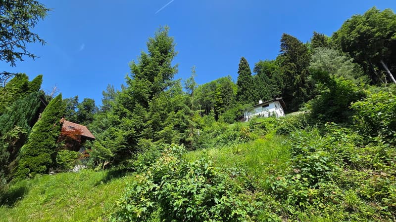 Bauland W1a an wunderschöner, äusserst ruhiger Aussichtslage zuoberst am Solenberg (4)