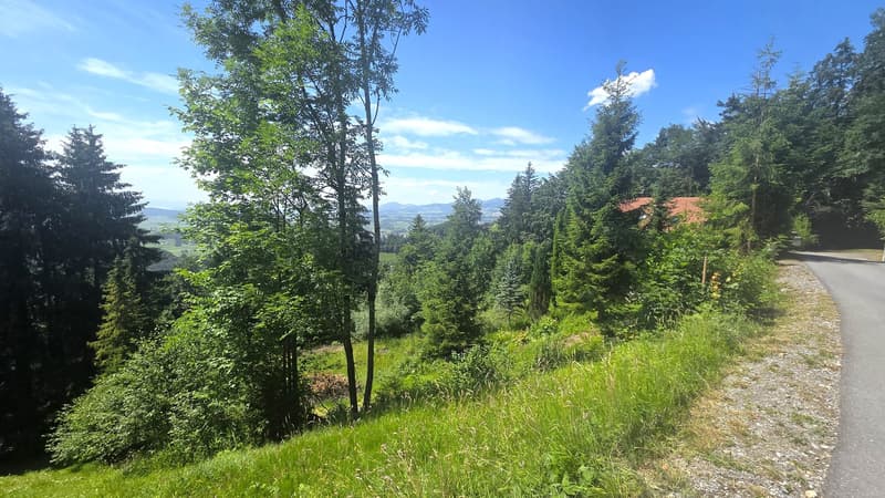Bauland W1a an wunderschöner, äusserst ruhiger Aussichtslage zuoberst am Solenberg (1)