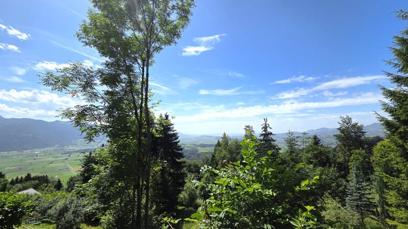 Bauland W1a an wunderschöner, äusserst ruhiger Aussichtslage zuoberst am Solenberg (2)