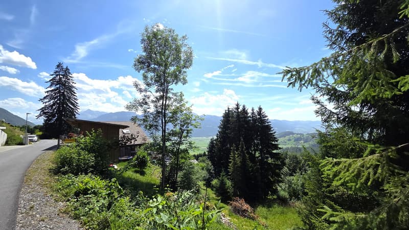 Bauland W1a an wunderschöner, äusserst ruhiger Aussichtslage zuoberst am Solenberg (3)