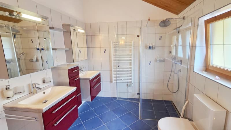 Familienbad mit Dusche und Eckbadewanne