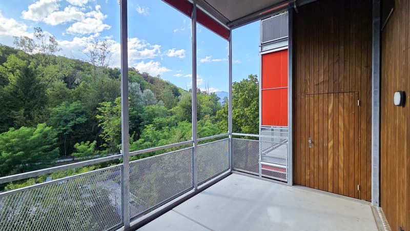 Balkon mit Reduit