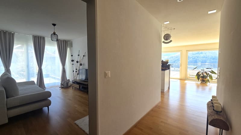 Neuwertige, riesige 5 ½-Zimmer-Terrassenwohnung mit schönstem Talblick auf der Sonnenseite (13)