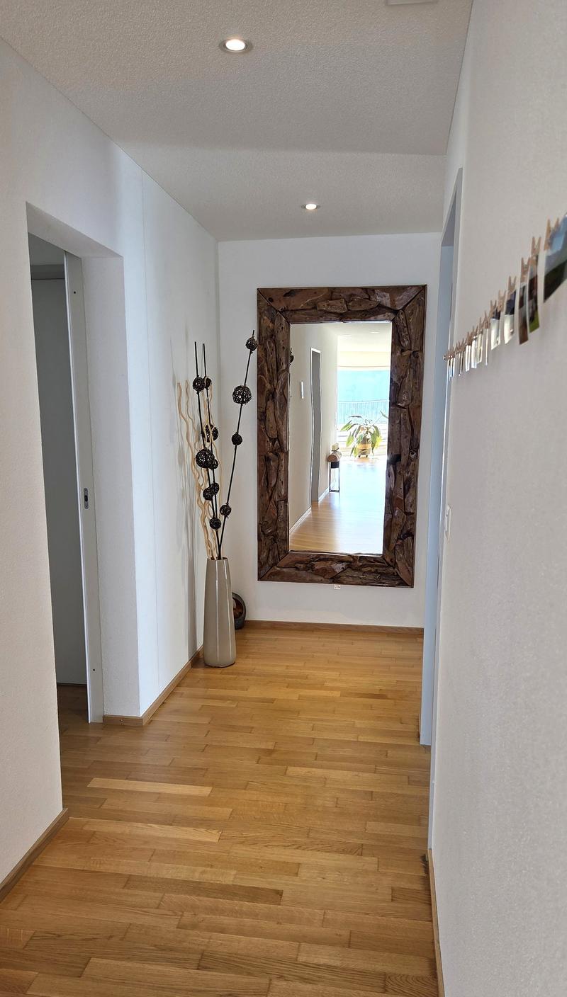Neuwertige, riesige 5 ½-Zimmer-Terrassenwohnung mit schönstem Talblick auf der Sonnenseite (7)
