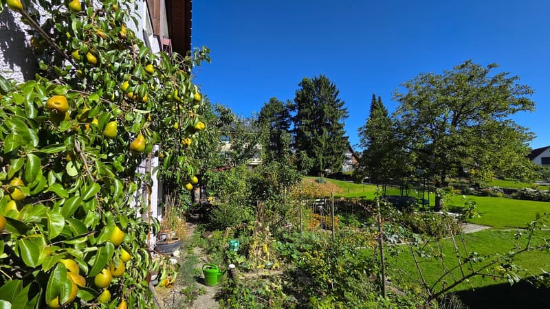 viel Grün