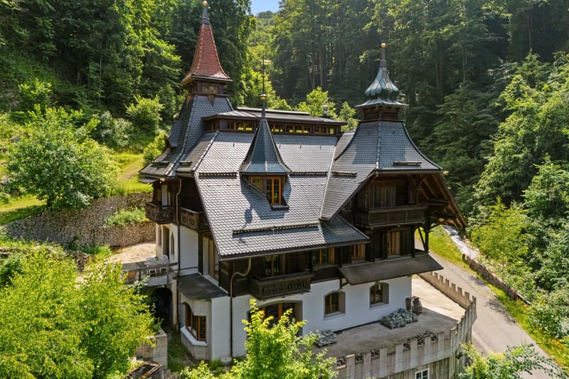 Historische Villa neu erschaffen - Exklusivität trifft auf Freiraum (5)