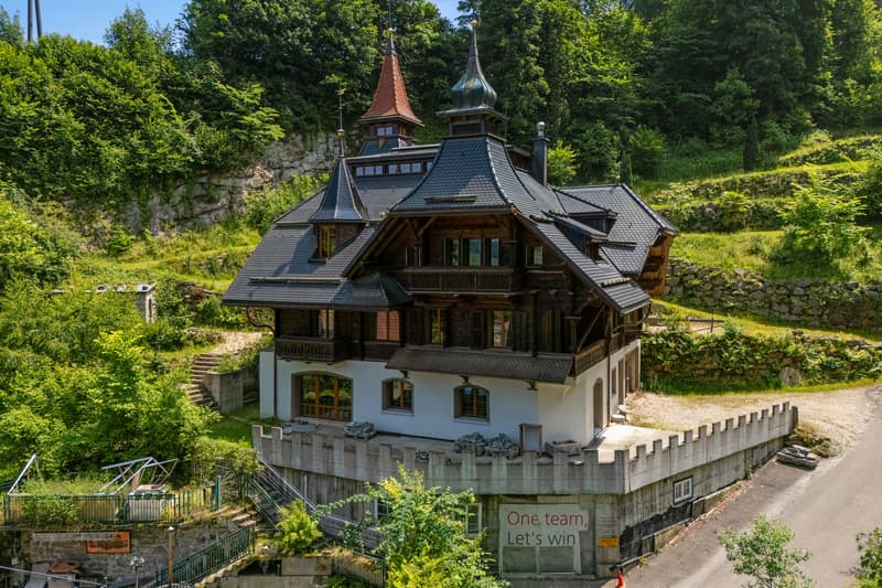 Historische Villa neu erschaffen - Exklusivität trifft auf Freiraum (2)